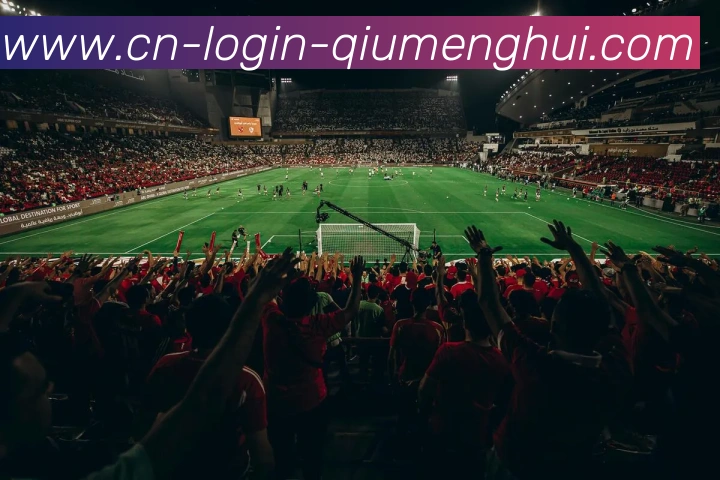 多媒体互动体验